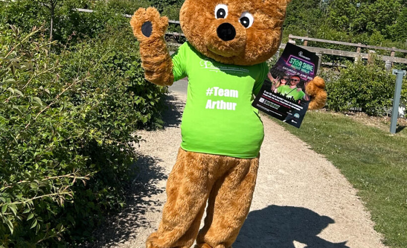 Celebrate Arthur Bear’s Birthday and Support Hospice Care at the Star Shine Night Walk