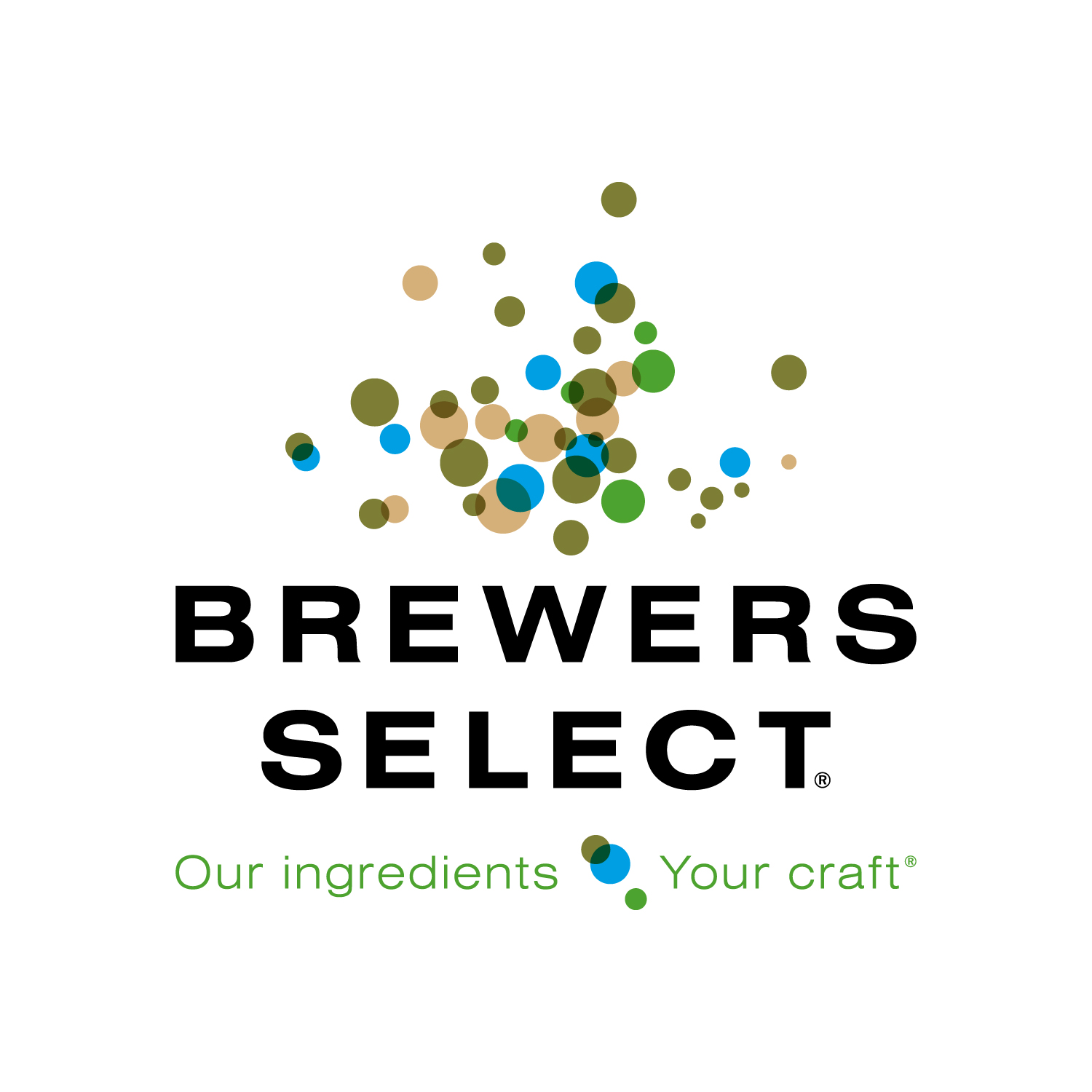 Loughran Brewers Select Limited