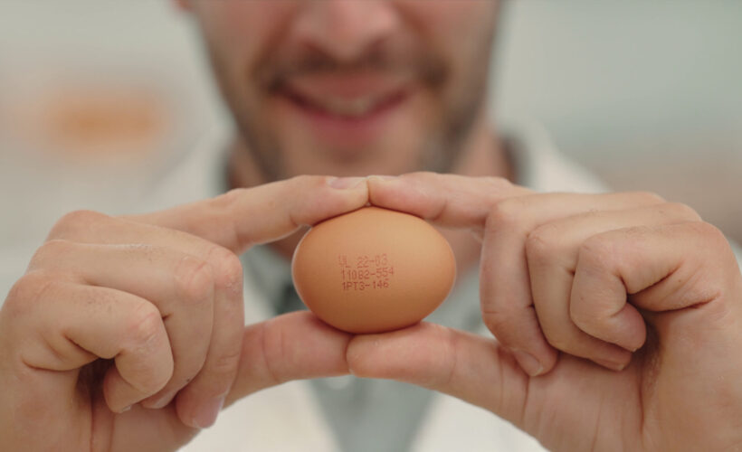 Domino Delivers ‘Egg To Pallet’ Coding  For Portugal’s Happiest Hens