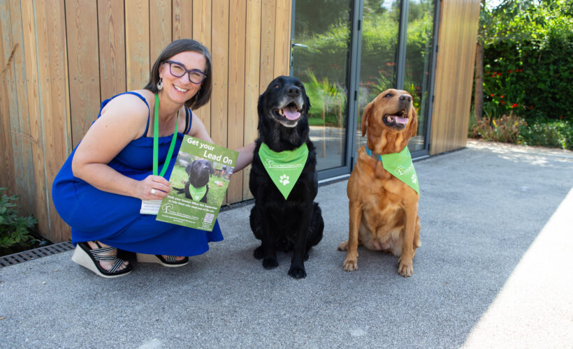 Walkies! Paw-some dog walking challenge