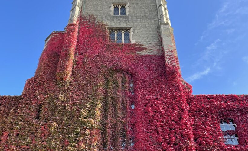 Going Green at The Pitt Building