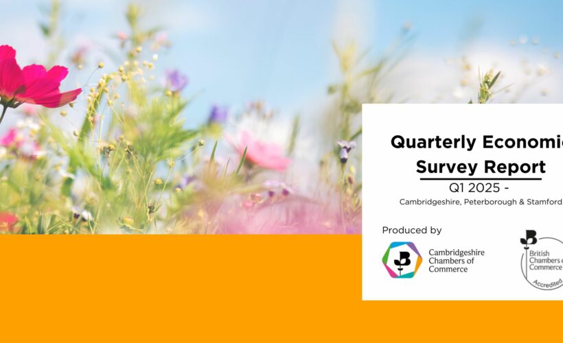 Quarterly Economic Survey QES Q1 – 2025