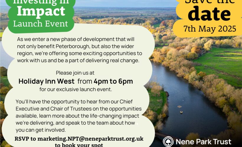 Investing in Impact Launch Event