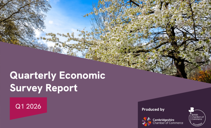 Business Confidence Fragile Going into Global Turmoil